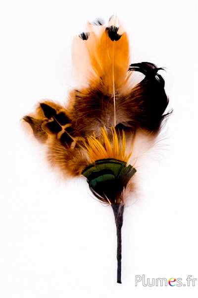 Composition en plumes n° 19 - longueur 15 cm - naturel